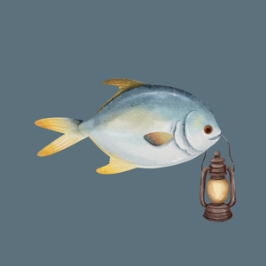 Team Page: Lanternfish